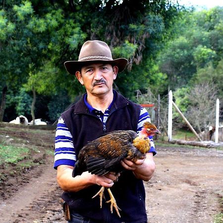 Cabanas Huilipan Gonzalez Nueva Imperial 外观 照片