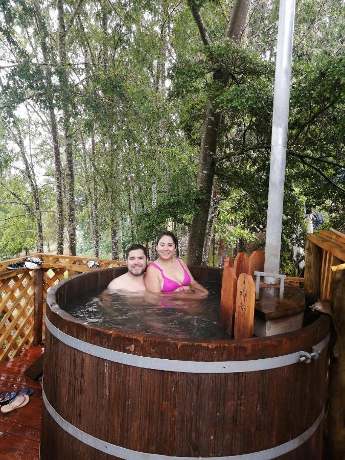 Cabanas Huilipan Gonzalez Nueva Imperial 外观 照片