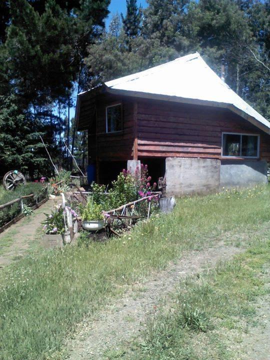 Cabanas Huilipan Gonzalez Nueva Imperial 外观 照片