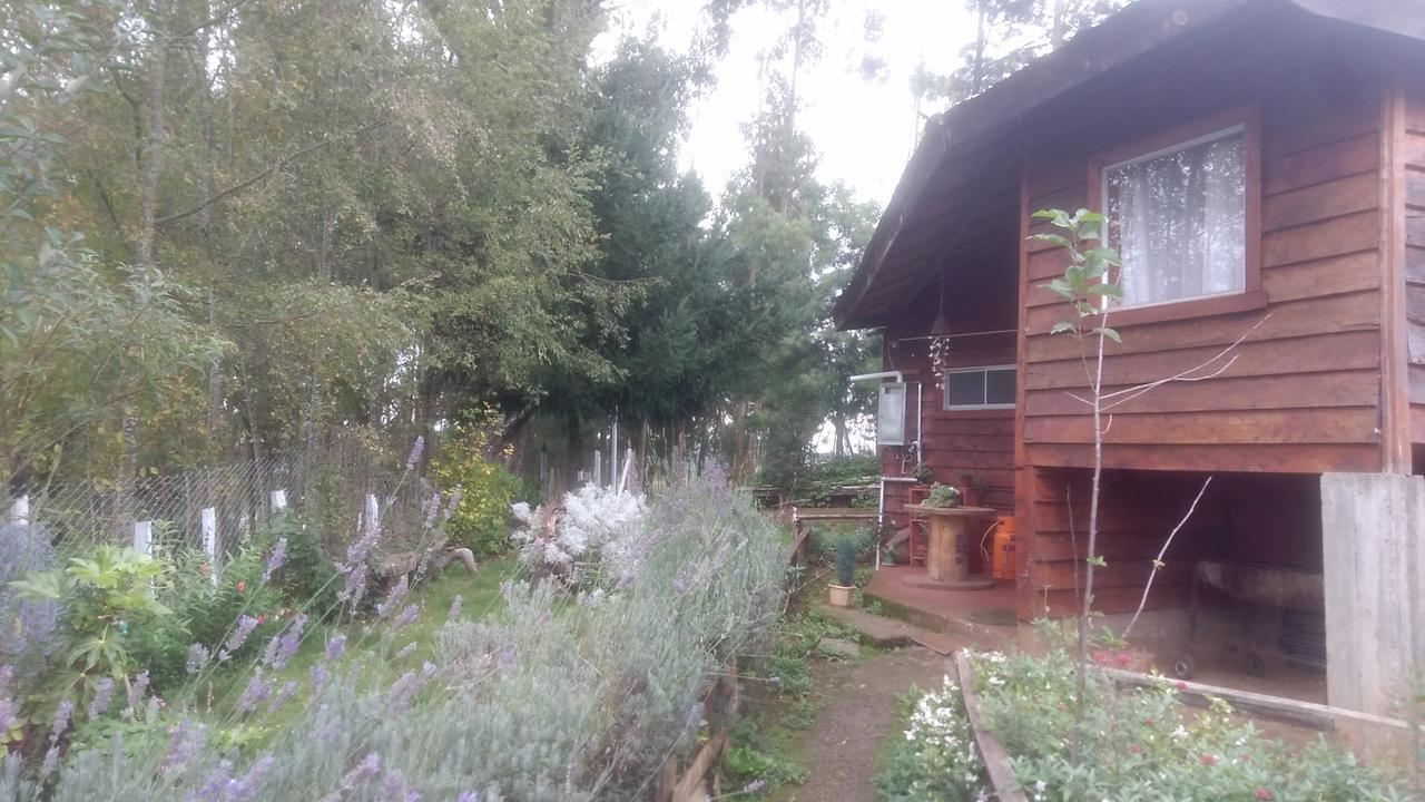 Cabanas Huilipan Gonzalez Nueva Imperial 外观 照片